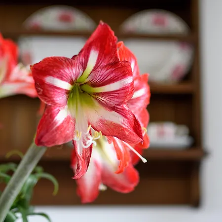 펜션 Kimolos Houses Kímolos