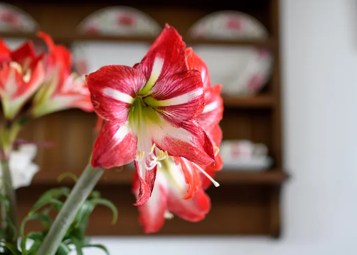 Semesterbostad Kimolos Houses Kímolos